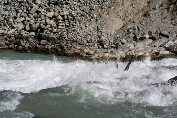 s**t happens s**t happens