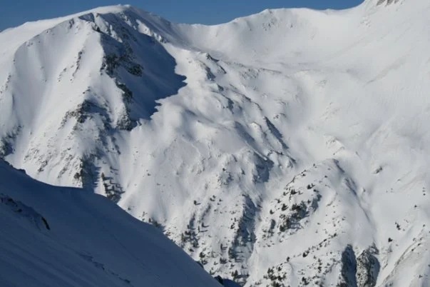 Free Mountains Association Free Mountains Association