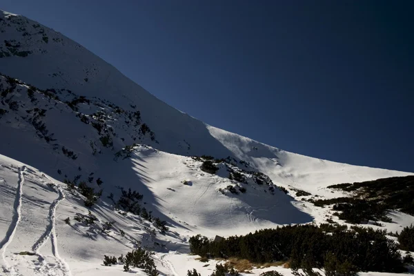 търсене на затрупан от лавина търсене на затрупан от лавина