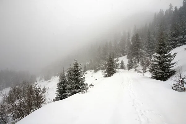 По пътя за х. Македония. Под черната скала По пътя за х. Македония. Под черната скала