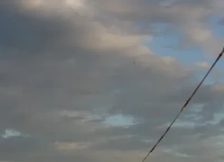 Wake Up с Емил Цолов-Робота