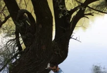 Мисли глобално, действай локално!