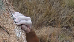 фотография - Милкана Русева