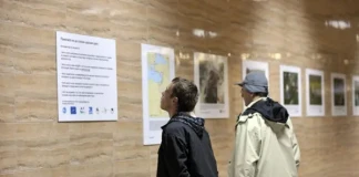 Царският орел в 20 фотографии