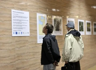 Царският орел в 20 фотографии