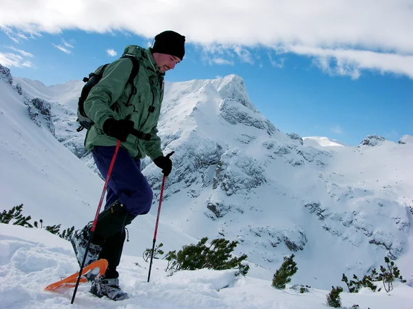 Сноушуинг - Снегоходки Сноушуинг - Снегоходки