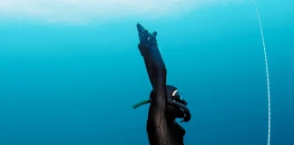 ЛЮБОМИР СТЕФАНОВ – THE SEANOMAD