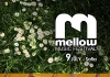 Mellow 2011