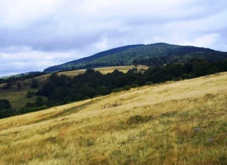 Средна Гора