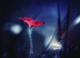 Марио Михайлов