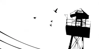 No Border Camp Bulgaria Без граници!