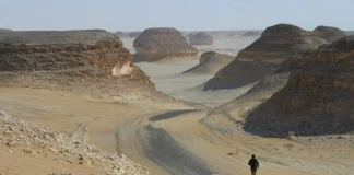 Интервю със Серж Жирар