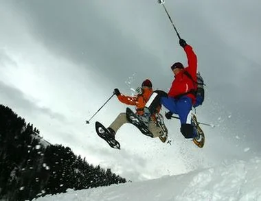 Снегоходките