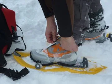 Снегоходктие