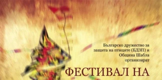 Фестивал на хвърчилата Шабла 2012