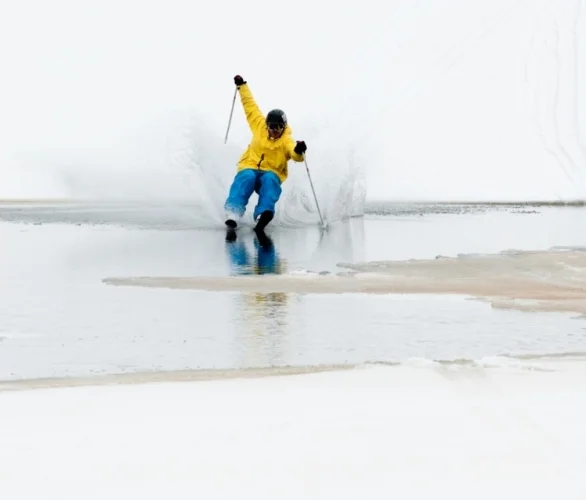 Мед Гоут Джамбуре 2013