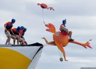 Новини от щаба на FLUGTAG red bull flugtag