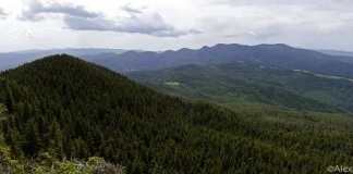 Фоторазказ „Рид Средня, Западни Родопи“ Рид Средня, Западни Родопи