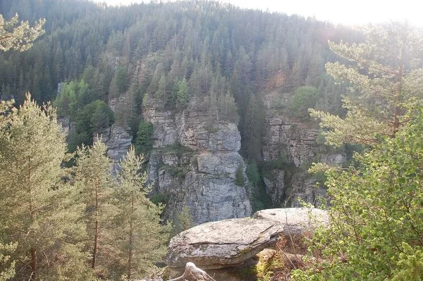 Ситовската промушвачка и Жувачната скала