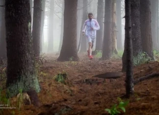 Кирил Николов – Дизела