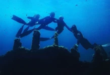 Курсове по свободно гмуркане със Seanomad Seanomad Freediving School