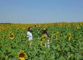 Далече от бетонния град