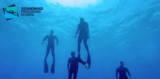 Seanomad Freediving School