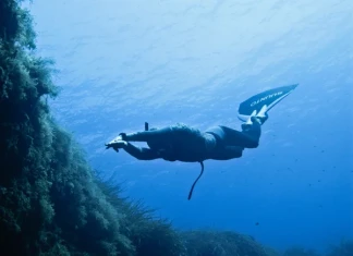 Фрийдайвинг обиколка на потънал кораб