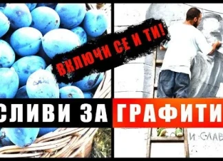 Сливи за графити в Дряново Сливи за графити