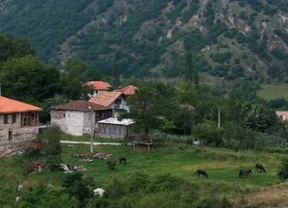 Нека поговорим за пермакултура Нека поговорим за пермакултура