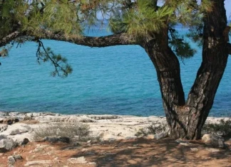 Три дни с каяци около Тасос Снежана Живкова