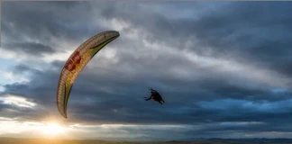 Red Bull Bird’s Eye