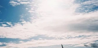 360° уикенд: 4-6 октомври, 2013 360° уикенд