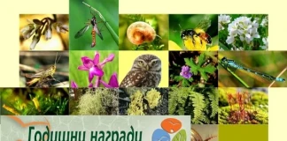 Годишни награди за биоразнообразието 2012 Годишни награди за биоразнообразието 2012