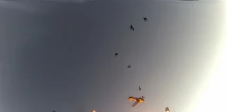 Парашутисти оцеляха по чудо след сблъсък на два самолета