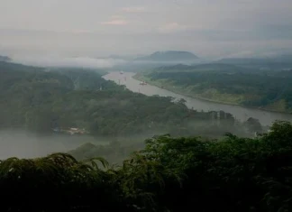 Презентация „Панама – живот сред прилепи, маймуни и учени“ Презентация "Панама – живот сред прилепи, маймуни и учени"