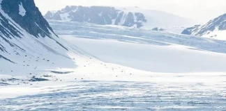 Изложба "Арктика - красива и уязвима"