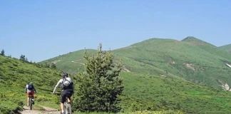 Байкария из Дивия Запад