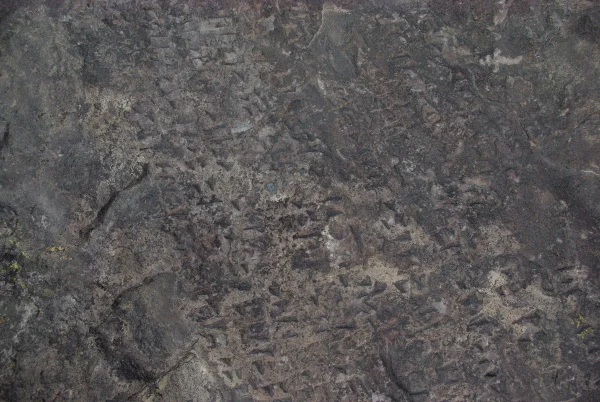 С наточени палци до Кавказието – Грузия и Армения