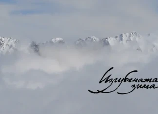 ИЗГУБЕНАТА ЗИМА