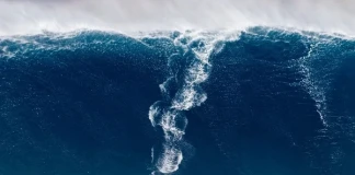 Марсилио Браун