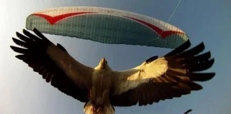 Състезание по целно кацане с парапланер на лебедка в Шумен