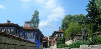 Пролетно залесяване край Копривщица Копривщица