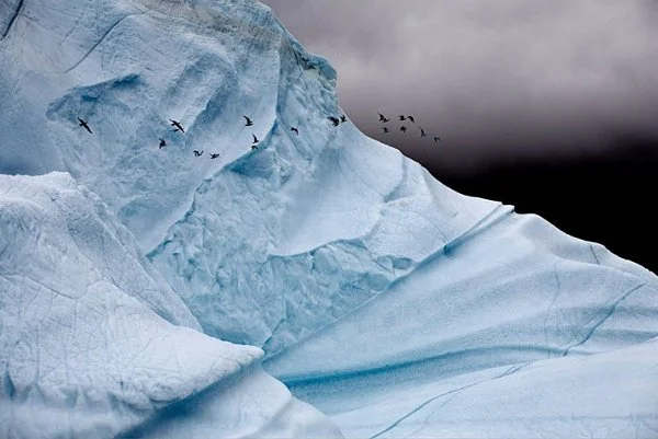 Камил Сиймън