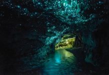 Waitomo Glowworm, Нова Зеландия