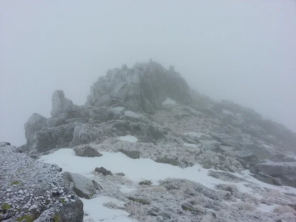 Вячеслав Стоянов