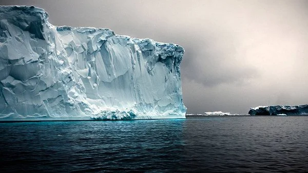 Камил Сиймън