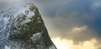 Крис Буркард