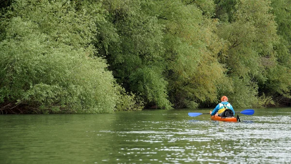 Байкария, Дунав
