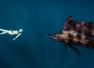 Роберта Манчино плува с най-бързата риба в света Роберта Манчино